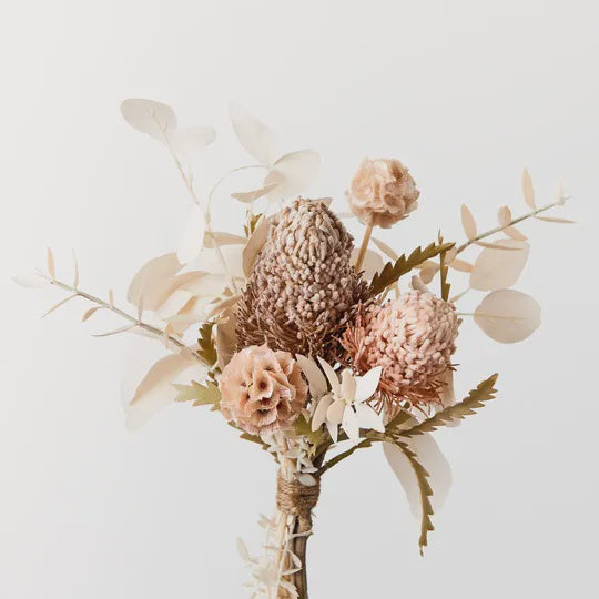 Banksia Acorn Mix