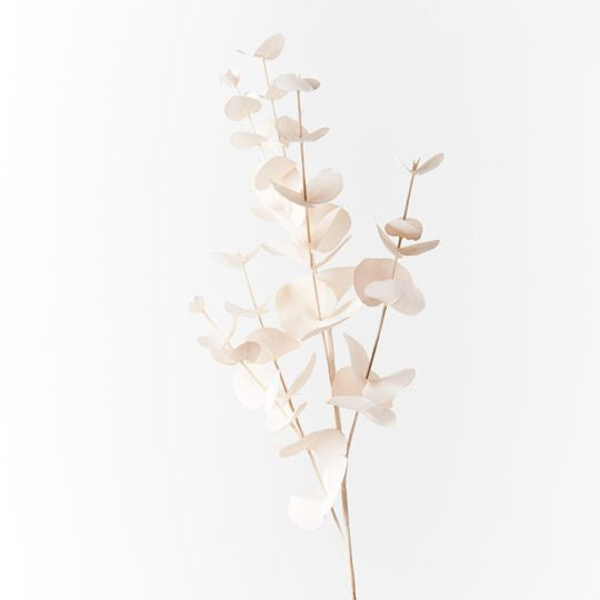 Scallop Leaf Spray