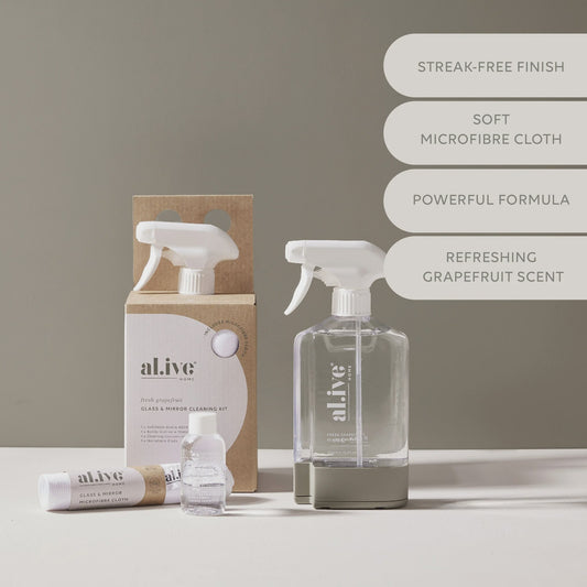 Glass & Mirror Cleaning Kit
