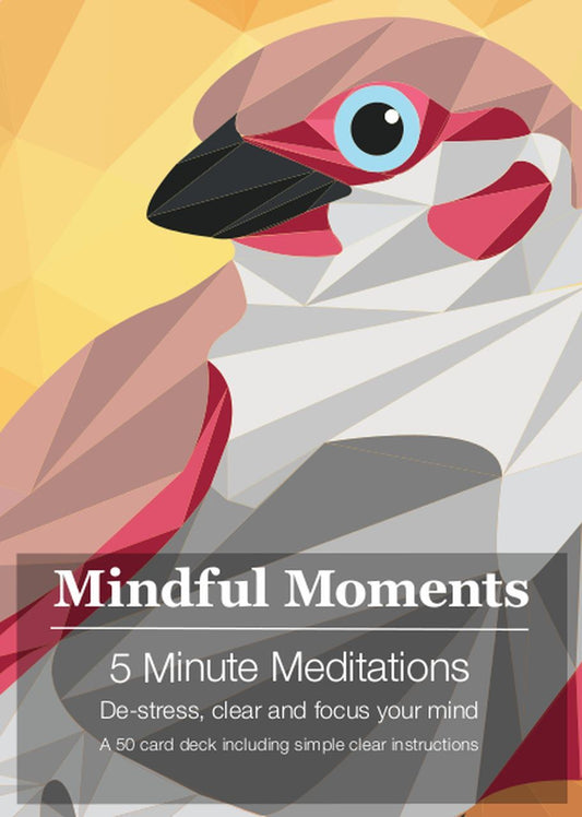 Mindful Moments Meditation Cards