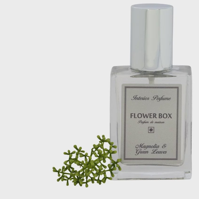 Magnolia & Green Leaves - Interior Perfume