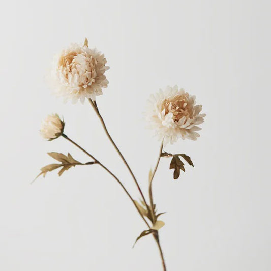 Chrysanthemum Spray - Cream